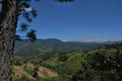 map dominicana photo