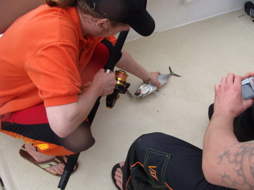 map dominicana photo