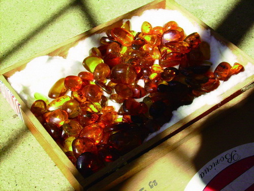 map dominicana photo