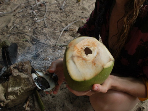 free road map Dominican Republic