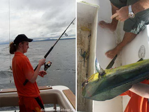 free road map Dominican Republic