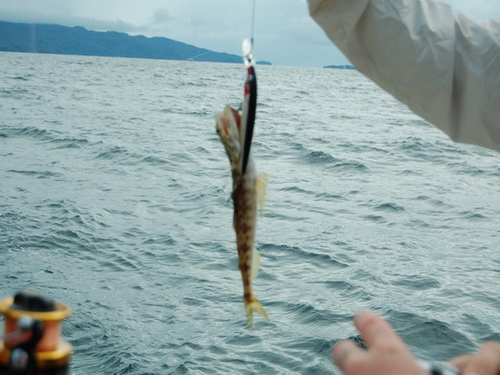 free road map Dominican Republic