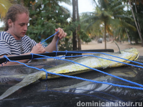 free road map Dominican Republic