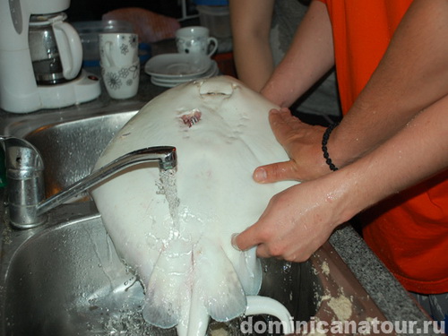 free road map Dominican Republic