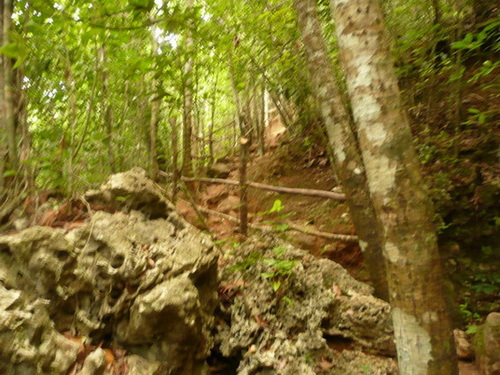 free road map Dominican Republic