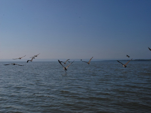 free road map Dominican Republic